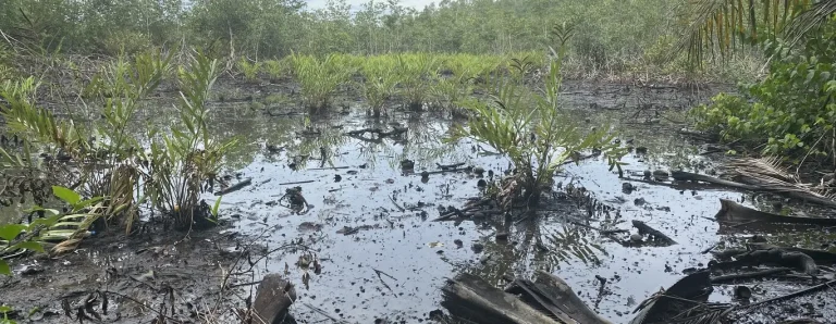 oil spills