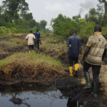 Oil giants accused of dodging Niger Delta clean-up