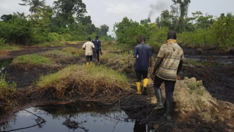 Oil giants accused of dodging Niger Delta clean-up
