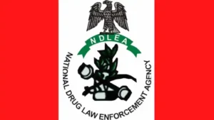 ndlea