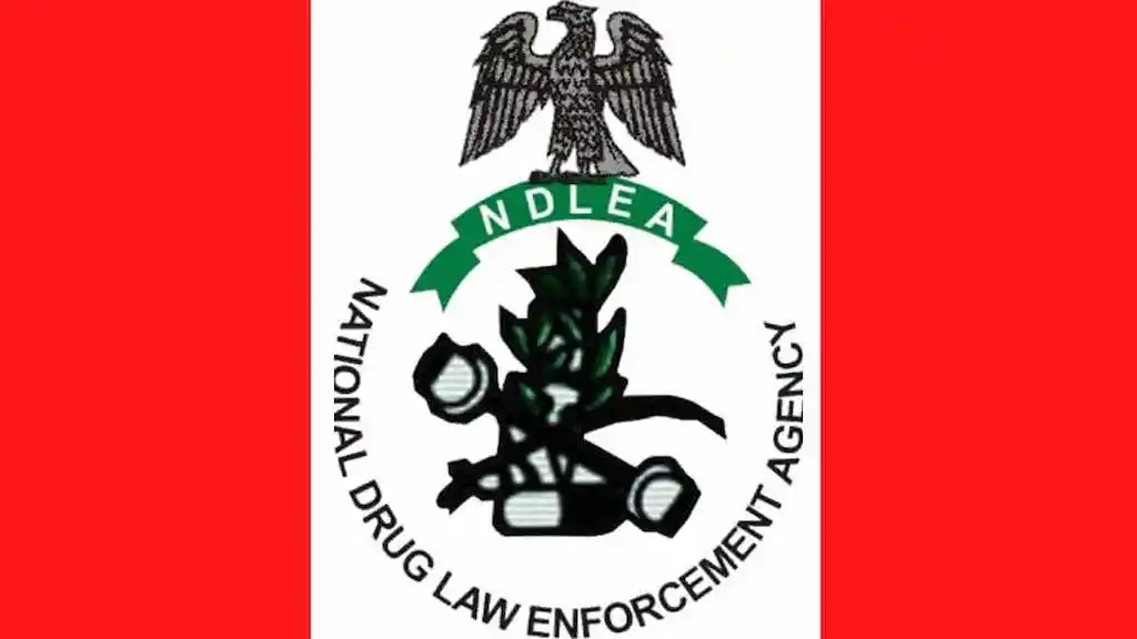 ndlea